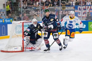Die Eisbären Berlin mussten sich dem EV Zug geschlagen geben.